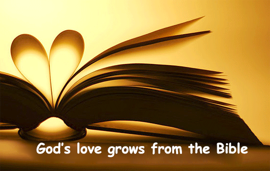 bible-love